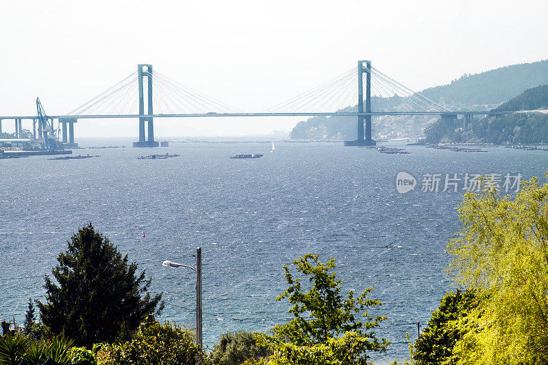 伟大的桥梁。Vigo, Rias Baixas, Pontevedra省，加利西亚，西班牙。